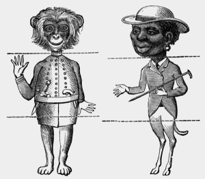 artists' menagerie drawings